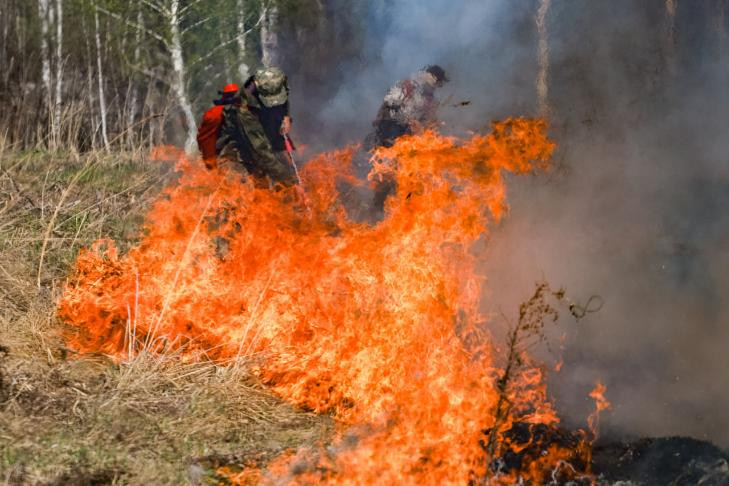 Новосибирские десантники отправились тушить лесные пожары в Забайкалье