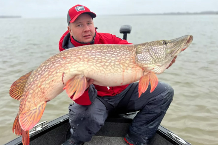 Житель Новосибирска поймал в Оби огромную щуку из Юрского периода