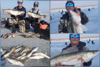 Новосибирцы ловят огромных судаков во время запрета рыбалки