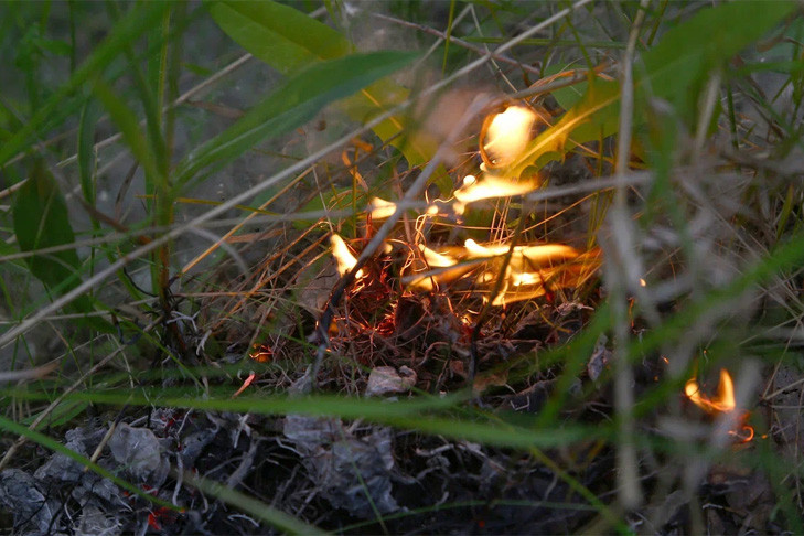 В Новосибирской области объявлен повышенный уровень пожарной опасности