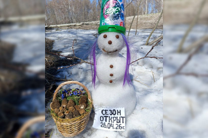 В Новосибирской области 26 апреля открыт грибной сезон