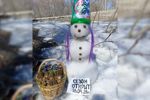 В Новосибирской области 26 апреля открыт грибной сезон