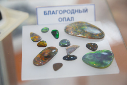 Жительницу Новосибирска обвинили в контрабанде стратегически важных ресурсов