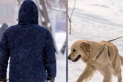 Девочку с собакой избил судимый житель Новосибирской области