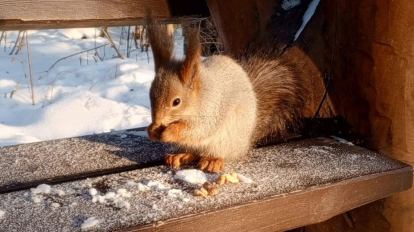 Синоптики рассказали, когда в Новосибирск вернётся тёплая погода