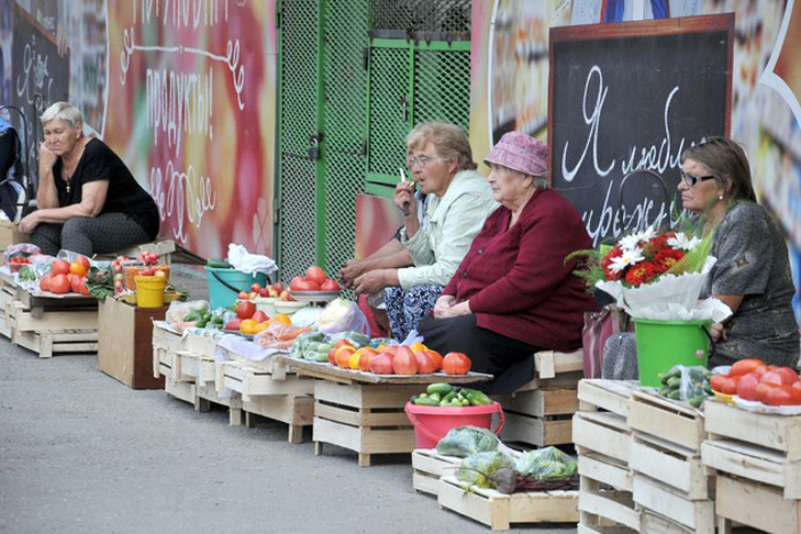 Арктический шок: опубликован прогноз погоды на июль-2025 в Новосибирске