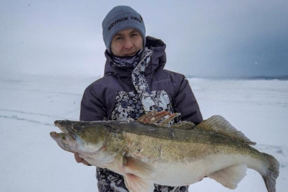 Трофей всей зимы: новосибирец вытянул из Оби гигантского судака весом 9 кг