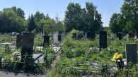 В Новосибирске начали обрабатывать кладбища от клещей