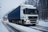 Из Ирана в Новосибирск поставляли апельсины, киви и капусту