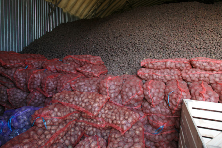 Нелегально вывезти 140 тонн картошки помог инспектор Россельхознадзора