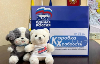 «Коробки храбрости» собирают в Искитимском районе
