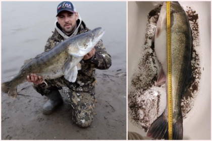 Рыбак из Новосибирска поймал метрового судака в Оби