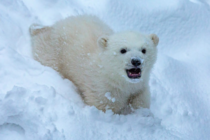 Секрет раскрыт: у знаменитой пары Герды и Кая родился мальчик