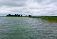 Более 1844 тонны рыбы отправлено в 2025 году на экспорт из Новосибирской области