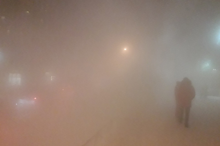 «Загрязнение 10 баллов»: экстремально опасный воздух застыл над Новосибирском