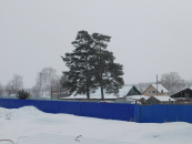 Кадастровые работы: инструкция для собственников