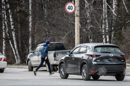 Водители гибнут чаще пешеходов на новосибирских дорогах