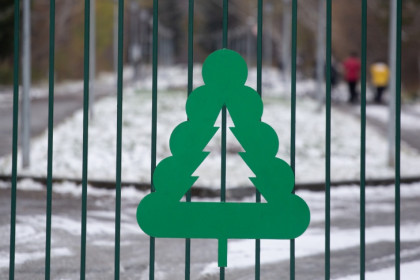 Прокуратура встала на защиту Заельцовского бора и Дендропарка от питбайков