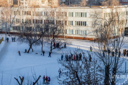 Школьникам Новосибирска разрешили не ходить в школу с 24 ноября