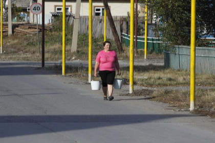 Безработных стало меньше в Новосибирской области