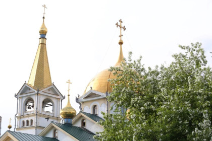 В Новосибирск привезут легендарную алтайскую икону Божией Матери