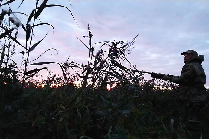 Весенний сезон охоты-2025 начался в Новосибирской области