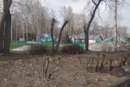 Планы по строительству гостиницы в «Березовой роще» опровергли в мэрии Новосибирска