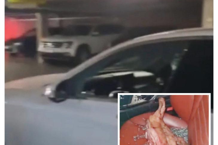 Свиную голову подбросили владельцу Mercedes в элитном ЖК Новосибирска