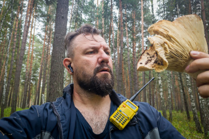 Основные симптомы отравления грибами назвали в Роспотребнадзоре Новосибирска