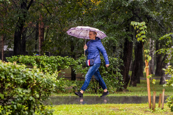 Синоптики Новосибирска рассказали о погоде на День города-2025