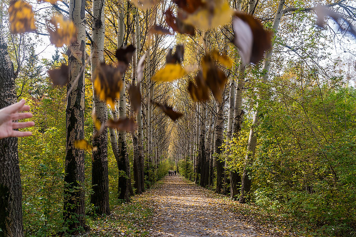Аномально теплый октябрь-2025 гарантировали синоптики Новосибирску