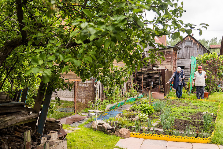 Опасные мыши-полевки начали вить гнезда на дачах новосибирцев