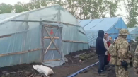 Полиция выявила 19 нелегальных рабочих в теплицах под Новосибирском