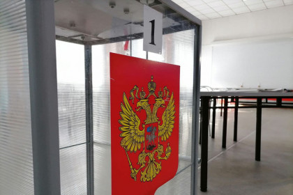 Выборы в Новосибирской области прошли без грубых нарушений