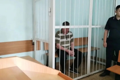 Суд арестовал новосибирца за нападение овчарки на врача скорой