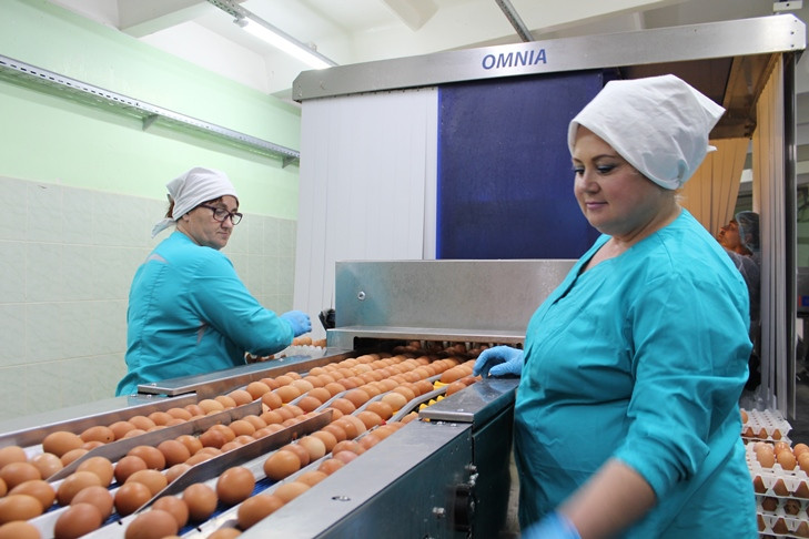 200 штук на человека: птицефабрики Новосибирской области превысили показатели прошлого года