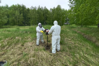 В Новосибирской области за год ликвидировали 88 скотомогильников