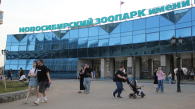 В Новосибирском зоопарке потерялись 10 детей