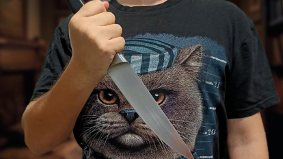 В Тыве 11-классника зарезали после школьной дискотеки