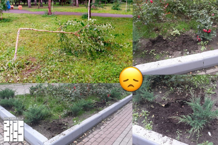 Серийные вандалы орудуют в парках Новосибирска