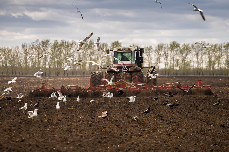 Синоптики назвали районы с переувлажнением почвы в Новосибирской области