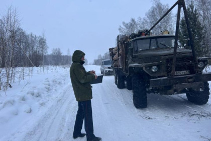 Банду лесорубов обезвредили в Новосибирской области