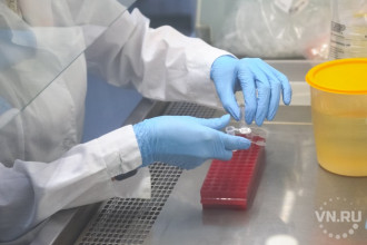 На 1800 больше зараженных COVID-19 стало в Новосибирской области 