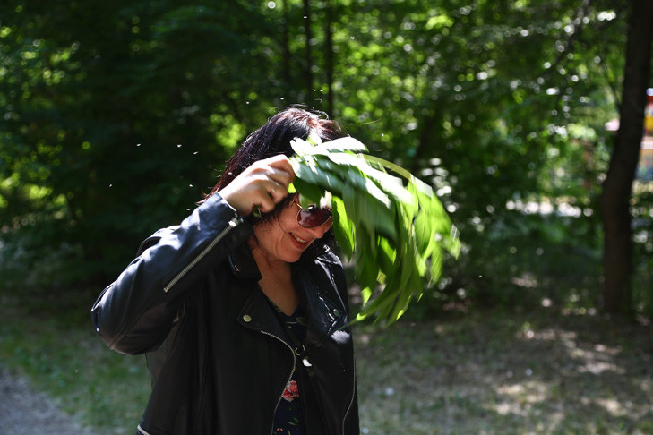 Нашествие мошки в Новосибирской области объявил зоолог Семенов