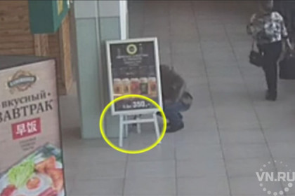 Кража телефона у пассажирки Толмачево попала на видео