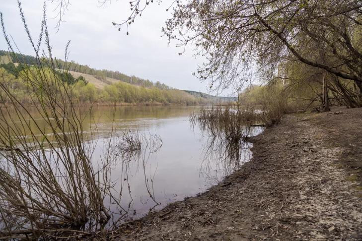 Проект парка с экотропами и велодорожками на реке Иня представили в Новосибирске
