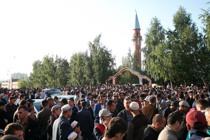 Бронь баранов на Курбан-байрам-2025 началась в Новосибирске