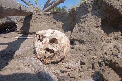 Детские черепа в гробах-колодах нашли туристы на острове Чингис