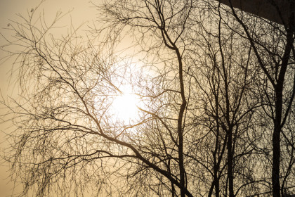 Магнитные бури: мощный выброс энергии Солнца достигнет Новосибирска 19 марта