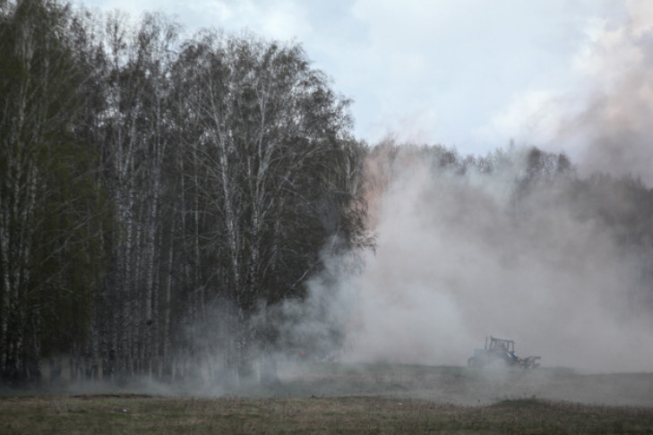  Эколог: полвека надо на восстановление Красноярских лесов